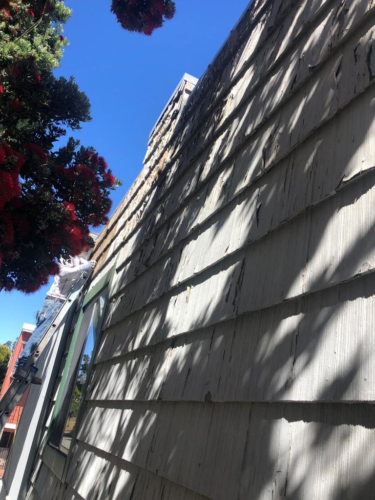 Gonzalez Painting 41